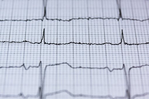 Ultraschall und EKG